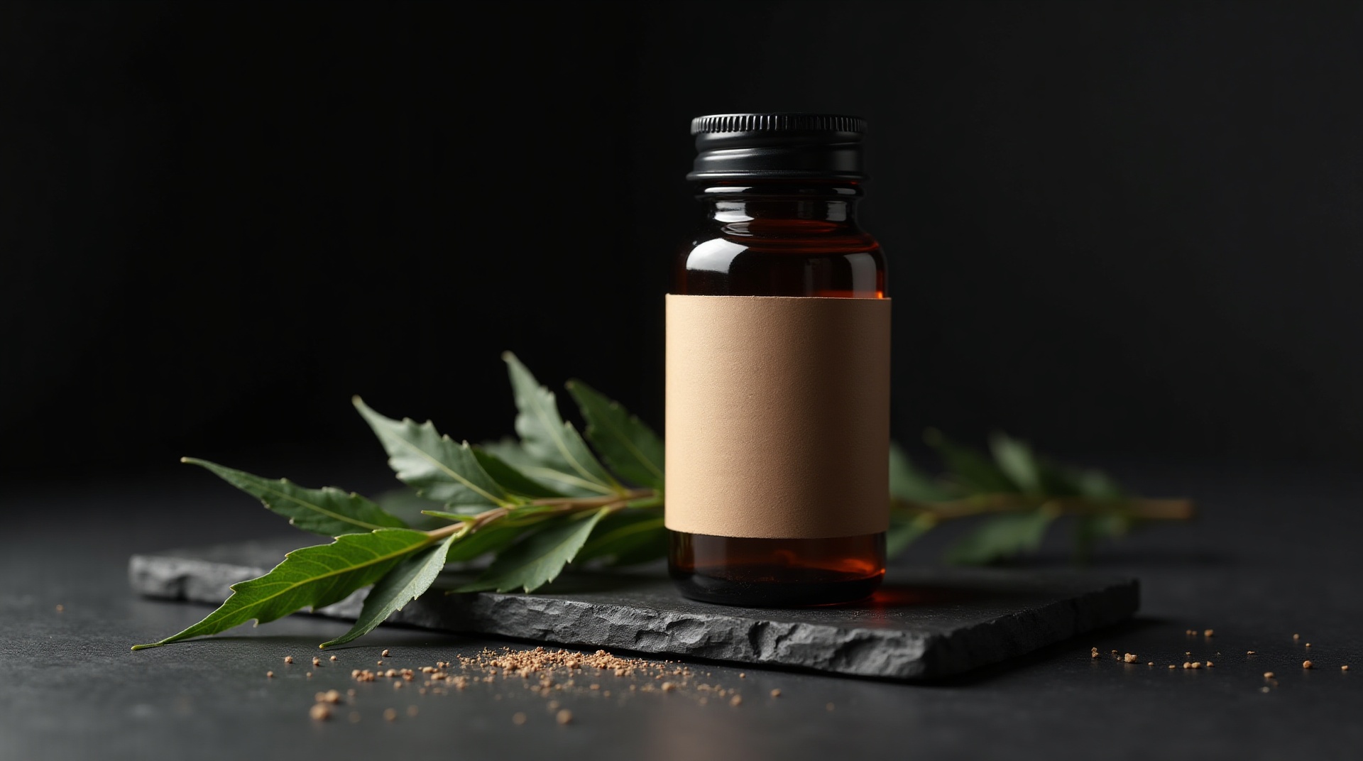 An amber supplement bottle beside fresh green botanical leaves on dark slate, representing ashwagandha sourcing and formulation.